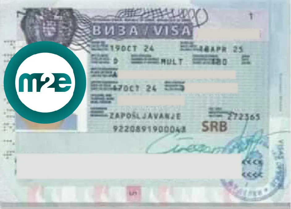 Success Story: Serbia Work Visa Approved